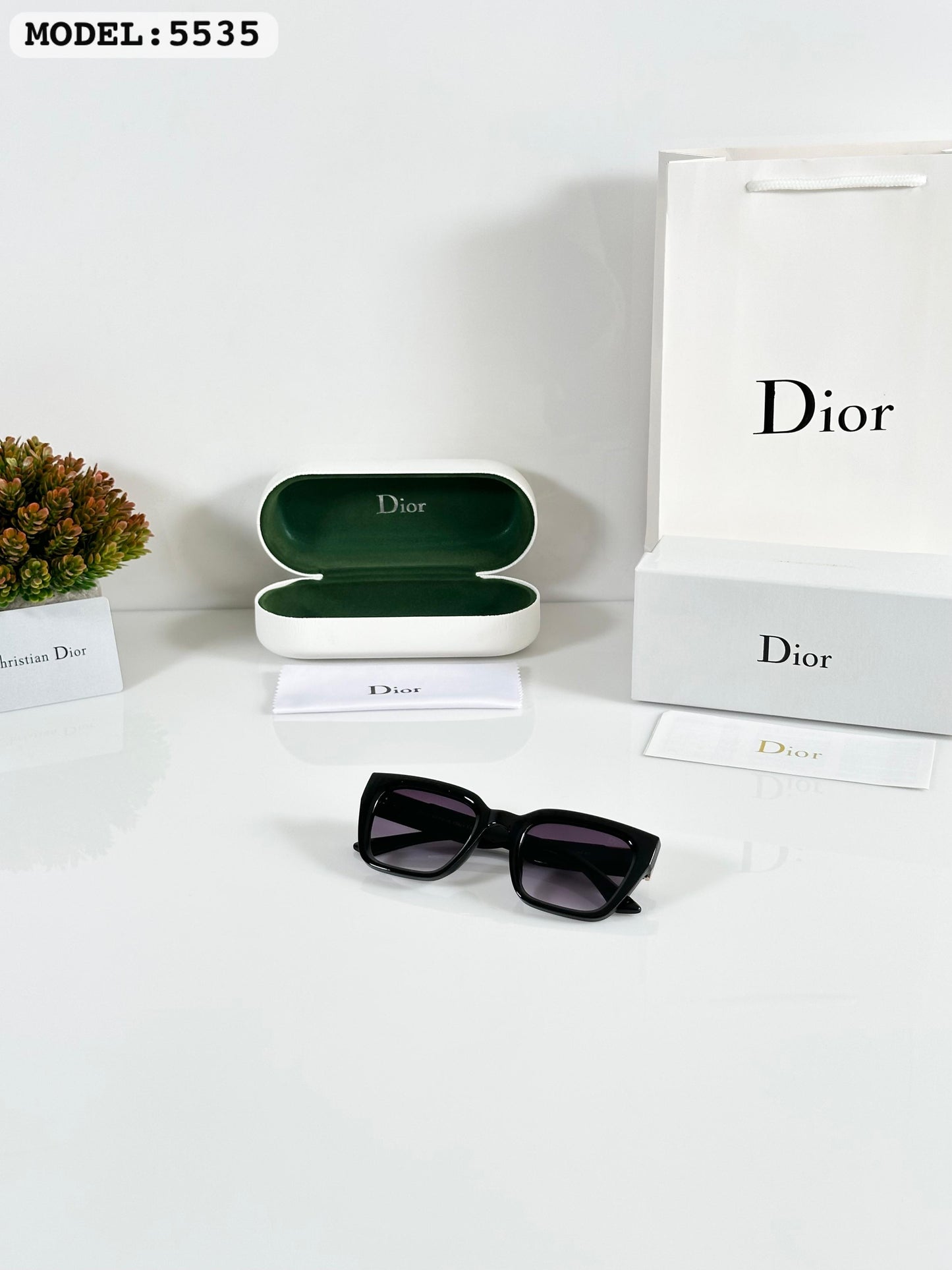 DIOR SUNGLASS