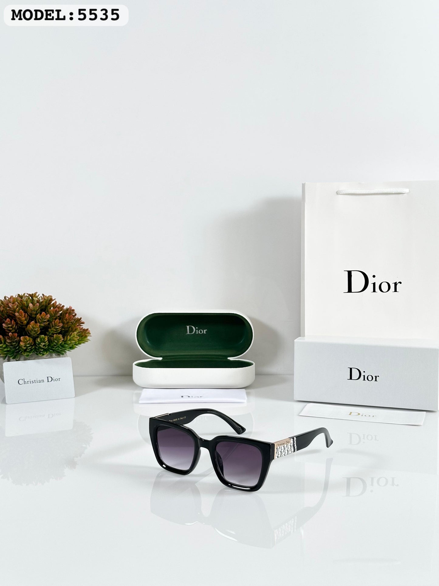 DIOR SUNGLASS