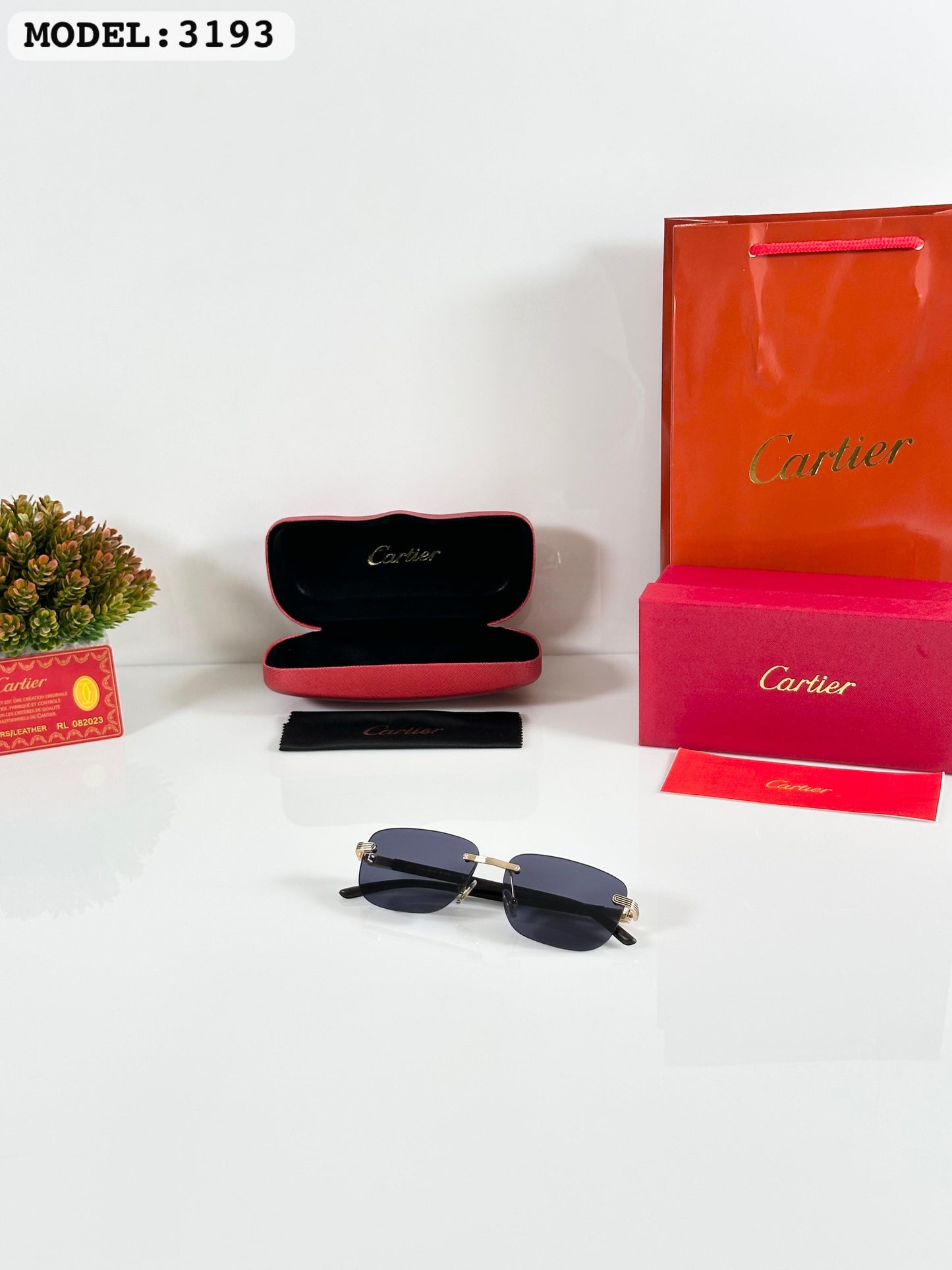 CARTIER SUNGLASS