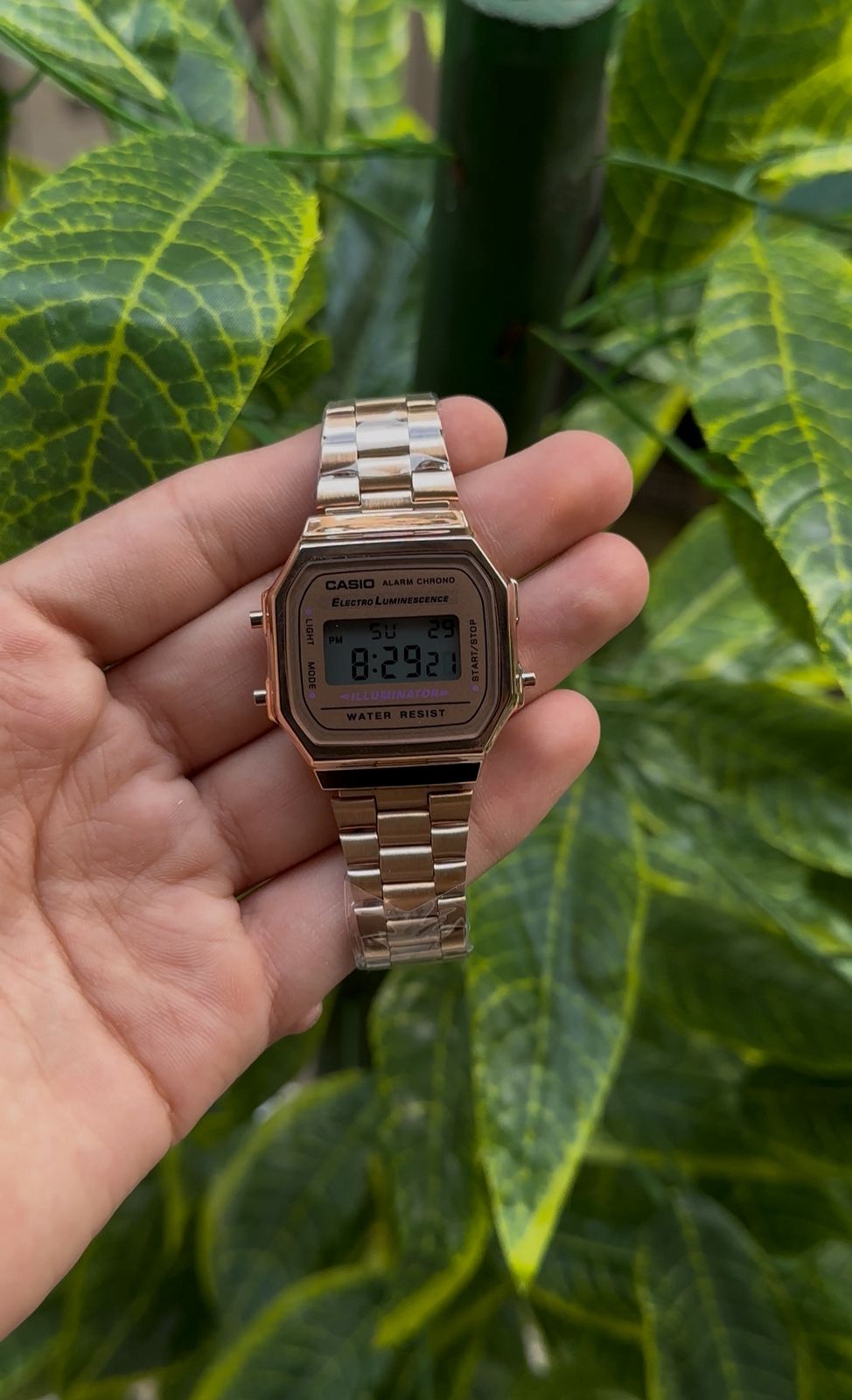 CASIO VINTAGE