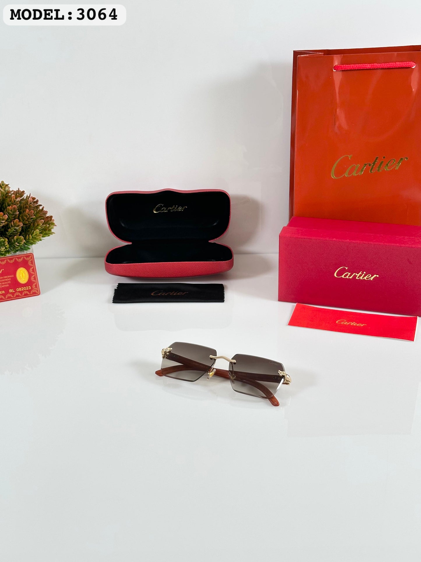 Cartier Sunglass