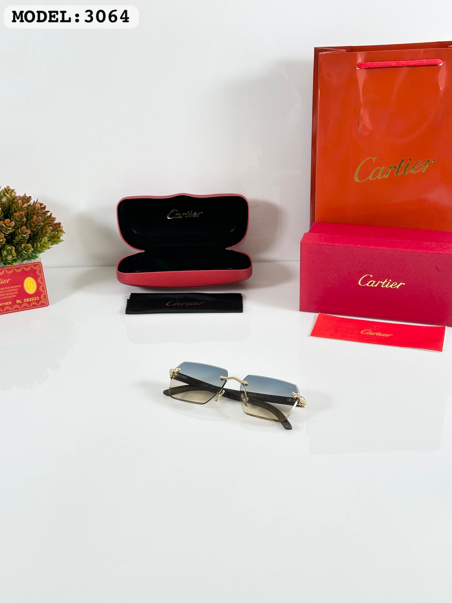 CARTIER SUNGLASS